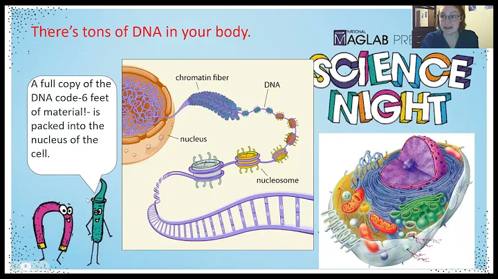 Science Night at the LeRoy Collins Leon Co Public Library Live On Zoom: Genetics/DNA