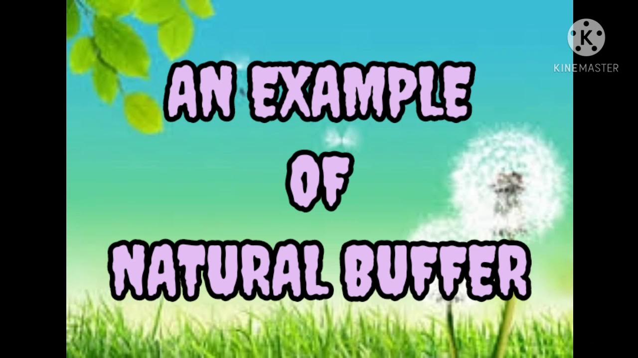 An Example of Natural Buffer YouTube