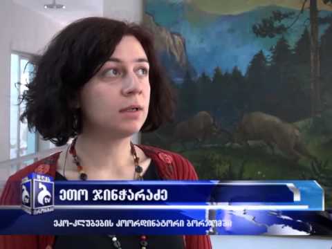 ბორჯომში მოქმედი ეკო კლუბების წევრები გამოცდილებას თანატოლებს უზიარებენ