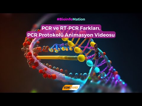 Video: PCR'nin bileşenleri nelerdir?