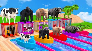 Animals Choose The Right Key With Cow, Elephant, Gorilla, Dinosaur, Animal Crossing Fountain Game