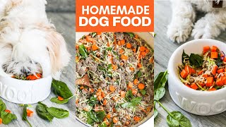 Homemade Dog Food 🐶🦴🐾