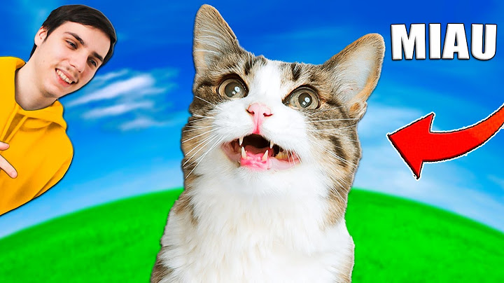 MIAU