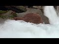 Grizzly Man Werner Herzog On Nature Grizzly Man Werner Herzog On Nature