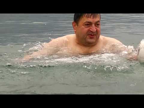 წყალბურთელები