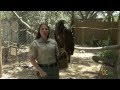 OC Zoo Golden Eagle