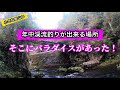 【テンカラ釣り】年中渓流釣りが出来る久多川濃密放流区！