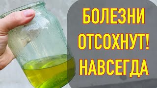 ПЬЮ И ОЖИВАЮ! Сахар в норме, Ноги не болят, сосуды крепкие