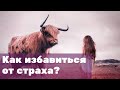 КАК ИЗБАВИТЬСЯ ОТ СТРАХА? #КакИзбавитьсяОтСтраха