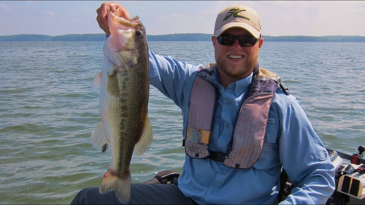 Bass Fishing Kentucky Lake - June 4, 2015 - YouTube