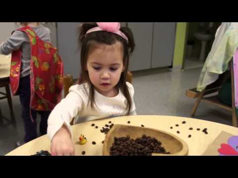 Brickton Montessori School Fierce Frogs Music Video