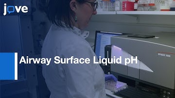 Airway Surface Liquid pH of Primary Epithelial Cells Measurement | Protocol Preview