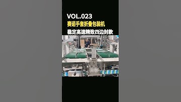 4 Axis Disposable Gloves Folding Packing Machine PE Gloves Portable Bag Packing Line | SAYOKPACK