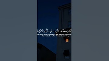 القارئ ماهر المعيقلي #قرآن #القرآن_الكريم #اكسبلور #دويتو #لايك #راحه_وطمأنينه_للقلب
