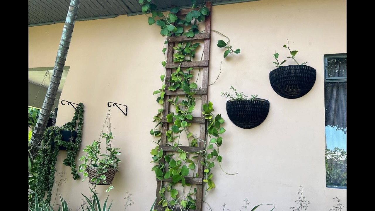 TOUR PELO JARDIM. ADQUIRI UMA PLANTA EXÓTICA. MINHA COLEÇÃO DE FLOR DE CERA.  Ateliê Florescer