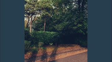 Modish Moods for Finding Clarity