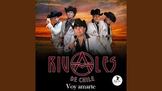 Video thumbnail of "RIVALES DE CHILE - Voy Amarte"