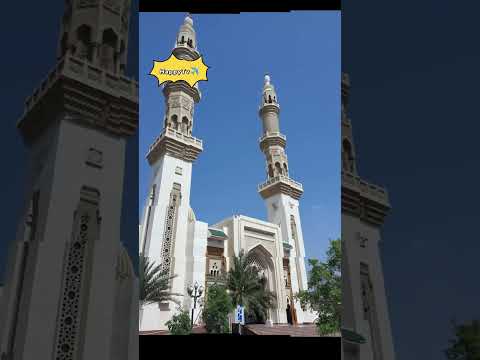 Top 5 Famous Mosque to Visit in Dubai #shortsviral #mosquedubai #dubaitourism