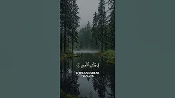 قرآن /علاء الخليدي / سورة الواقعة