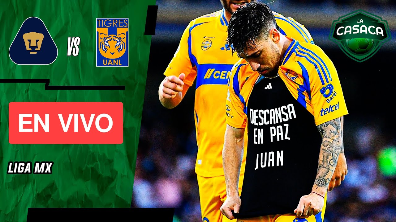 🚨 PUMAS vs TIGRES EN VIVO 🔥 LIGA MX - CLÁSICO FELINO - YouTube