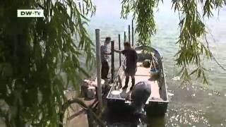 à la carte -- Fresh fish from Lake Constance | euromaxx