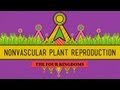 The Reproductive Lives of Nonvascular Plants: Alternation of Generations - Crash Course Biology #36