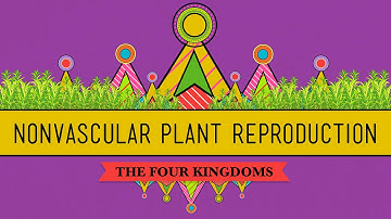 The Reproductive Lives of Nonvascular Plants: Alternation of Generations - Crash Course Biology #36