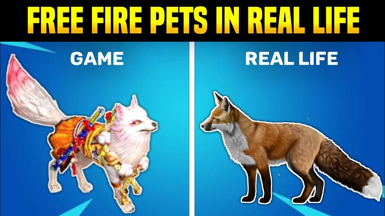 Free Fire All Emotes In Real Life 2021 Origin Of Free Fire Emotes Free Fire In Real Life 1 Youtube