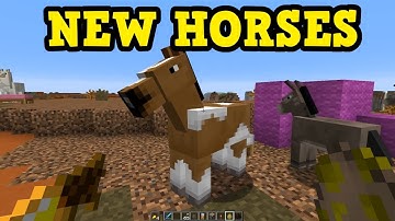 Minecraft 1.13 - THIS Is The New Horse Look