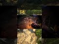 **Archived video**Outdated** No Rest for the Wicked | Steam #freegames