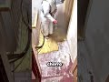 Así restauran un suelo con chorro de arena 😱