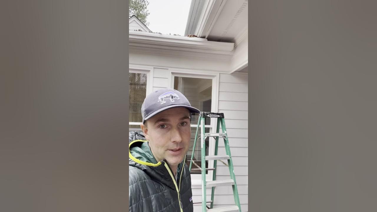 How to repel squirrels from your attic for good youtube