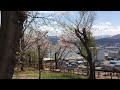 交通記念館と海と桜をみたよ