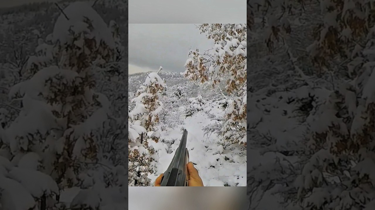 Быстрый кролик — Идеальный выстрел