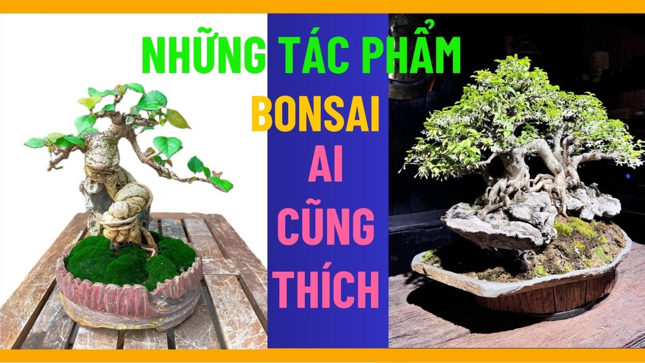 Chiêm Ngưỡng Những Tác Phẩm Bonsai Thu Nhỏ – Bạn Sẽ Thích Ngay Từ Cái Nhìn Đầu Tiên