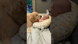 Puppy dog bonding with baby wow❤️😍 dog love