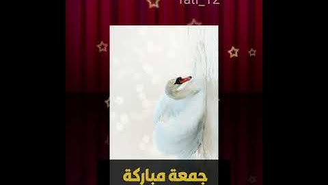 جمعة مباركة 📿 لا تنسوا قراءة سورة الكهف😍 👍والصلاة على النبي صل الله عليه وسلم
