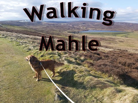 Walking at Barden Moor, Skipton, North Yorkshire