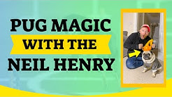 Magician neil henry Will You