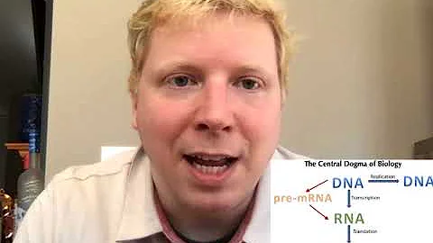 Get to Know Your Professor - Aaron Hoskins, Bioche...