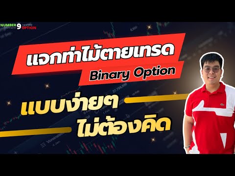 ผลสลากกินแบ่งรัฐบาล วันที่ 1 พย. 2567