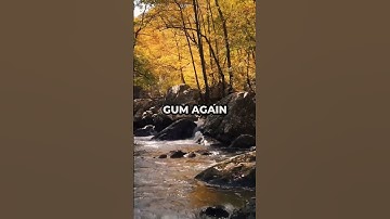 Chew This Gum While Studying to Boost Your Test Memory!