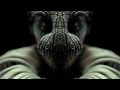 RVSB - Cruz del Sur