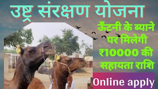 ऊंटनी के ब्याने पर 10000 रुपये की प्रोत्साहन राशि #उष्ट्र संरक्षण योजना#iomms पर आवेदन screenshot 3