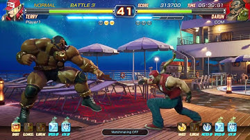 FIGHTING EX LAYER terry