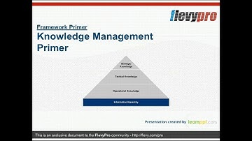 Knowledge Management Primer