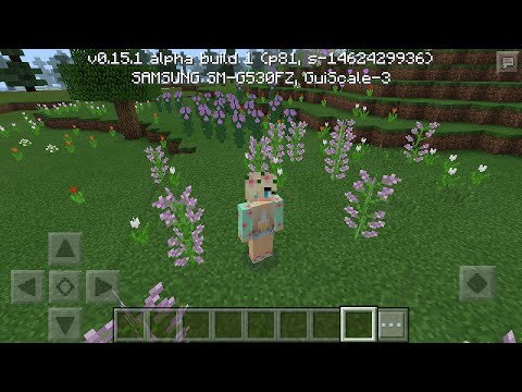 Lots of flowers seed in Minecraft PE - YouTube