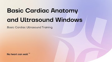 Basic Cardiac Anatomy and Ultrasound Windows