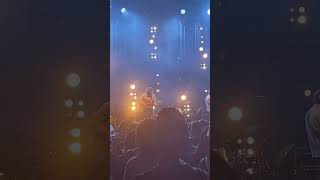 Via Chicago - Wilco - Royal Albert Hall