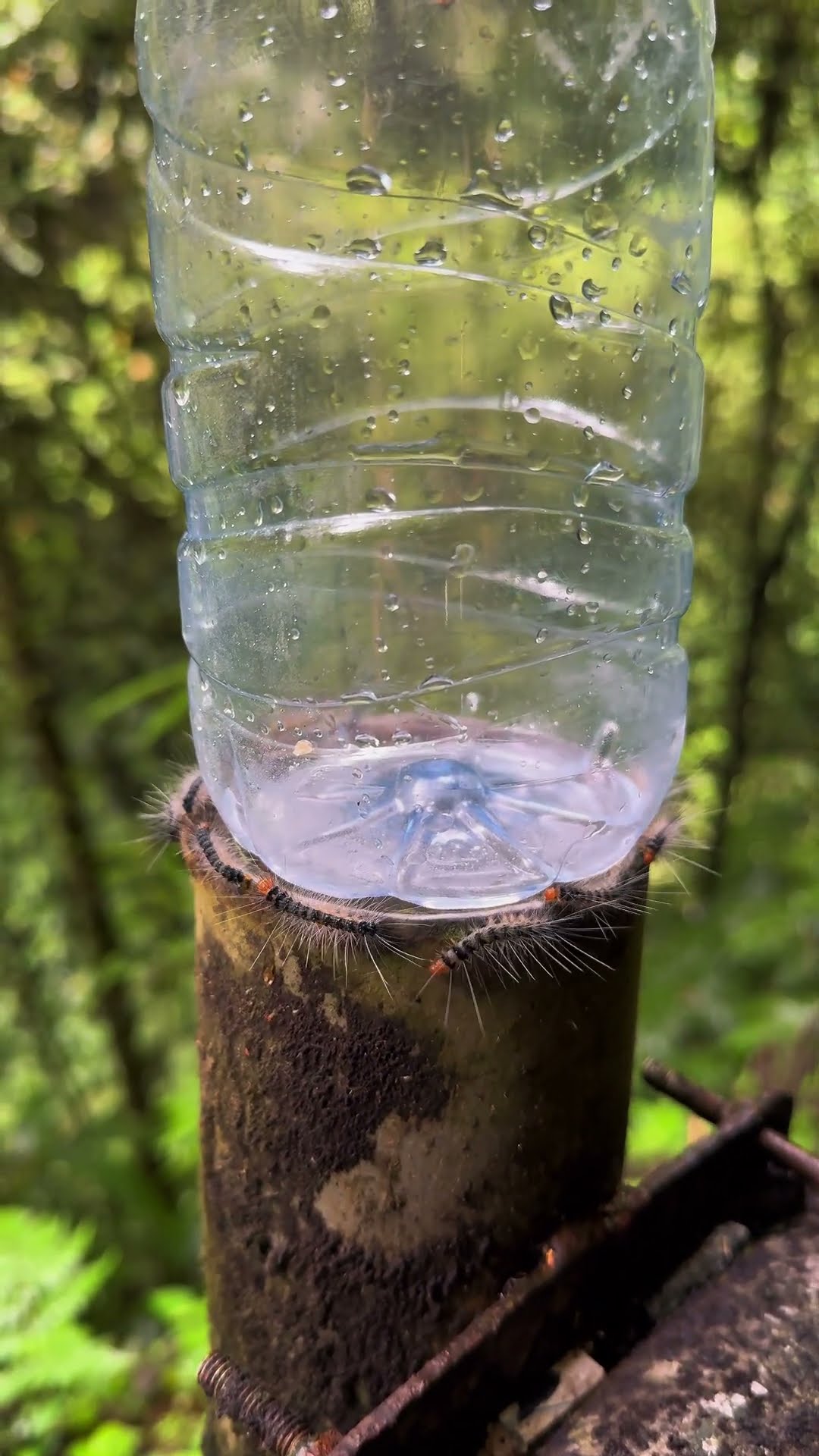 Сaterpillars Circle Water Bottle || ViralHog